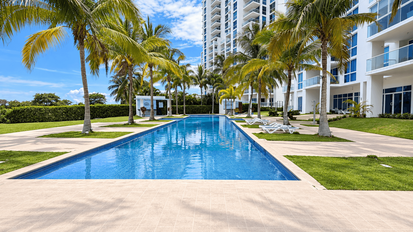 Piscina del complejo rodeada de palmeras